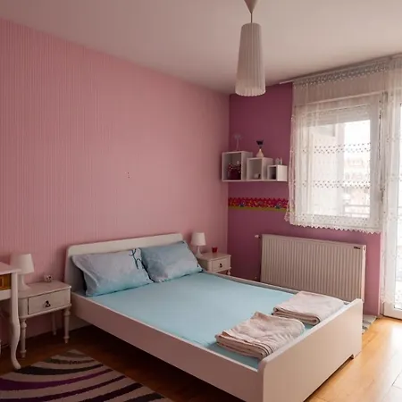 Dunja Novi Sad